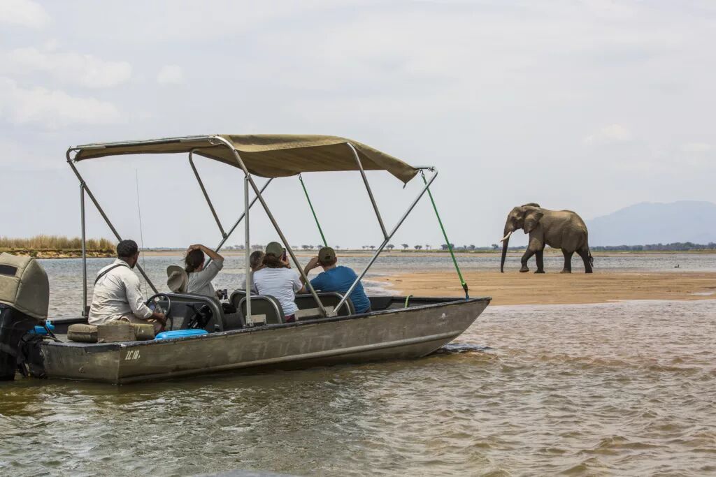 Guests on a boat safari as an elephant crosses the floodplain